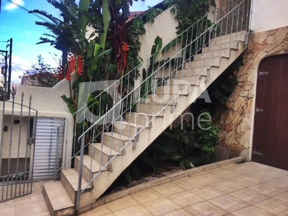 Casa, 3 quartos, 270 m² - Foto 16