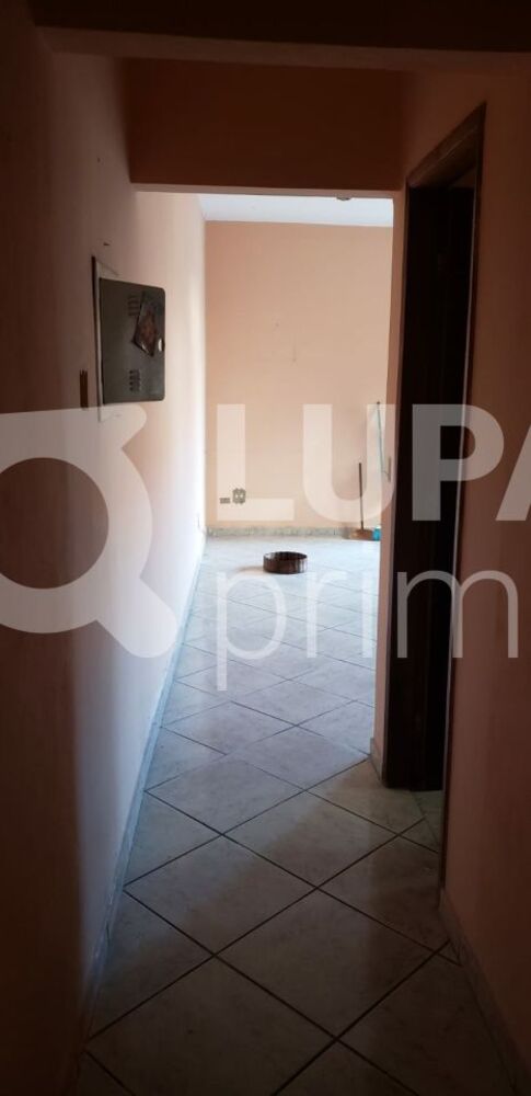 Casa, 2 quartos, 290 m² - Foto 3