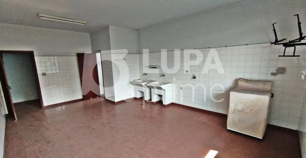 Casa, 2 quartos, 254 m² - Foto 4