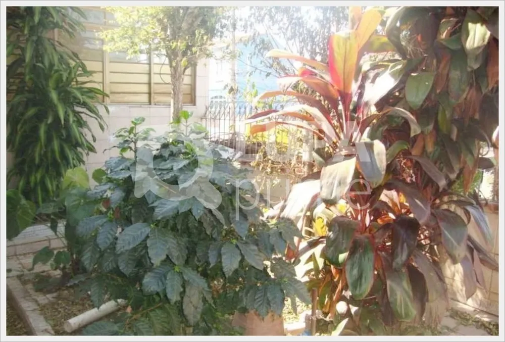 Casa, 3 quartos, 186 m² - Foto 4