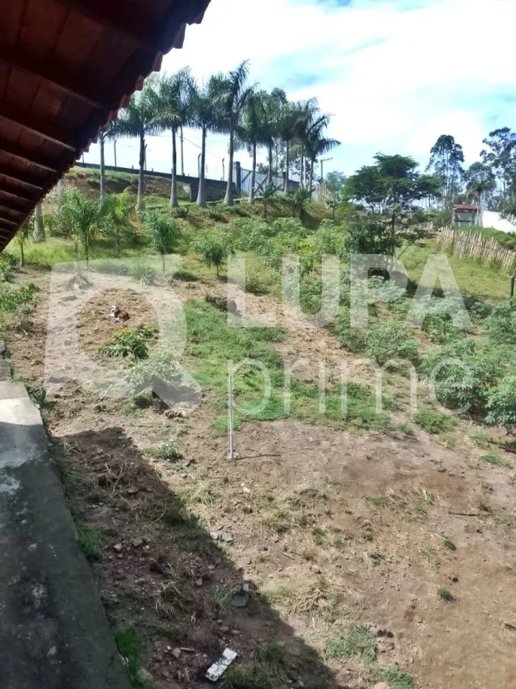 Terreno, 5000 m² - Foto 2