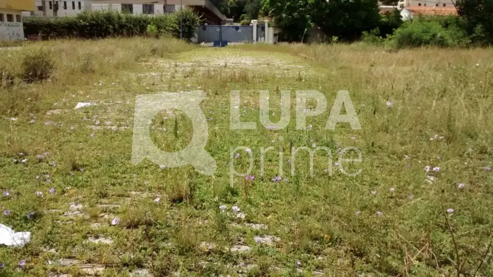 Terreno, 780 m² - Foto 4