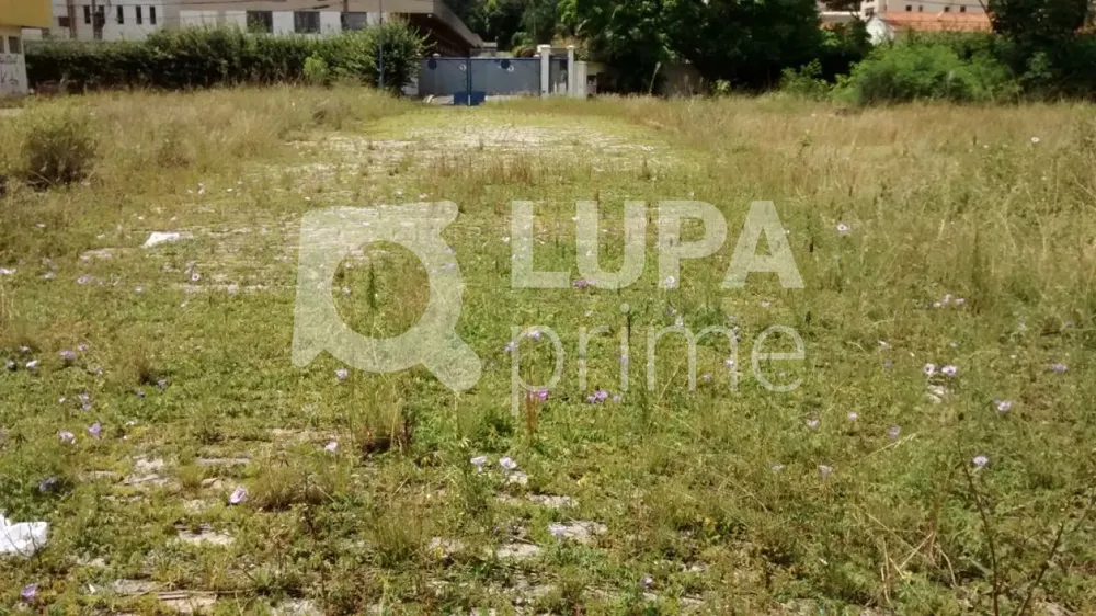 Terreno, 780 m² - Foto 6