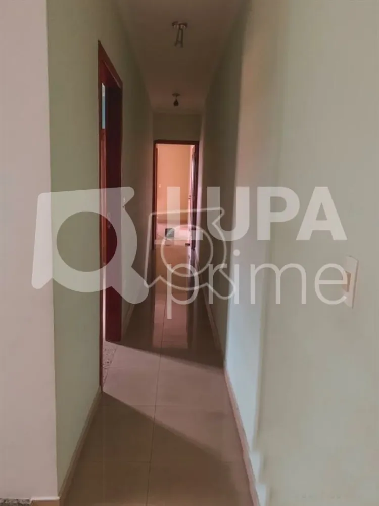 Casa, 3 quartos, 275 m² - Foto 5