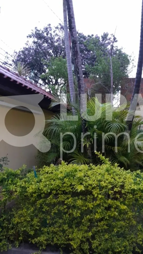 Casa, 4 quartos, 278 m² - Foto 4