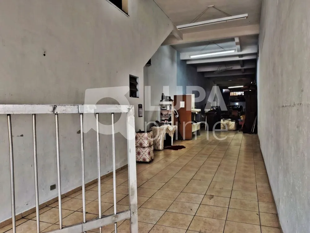 Casa, 3 quartos, 420 m² - Foto 6