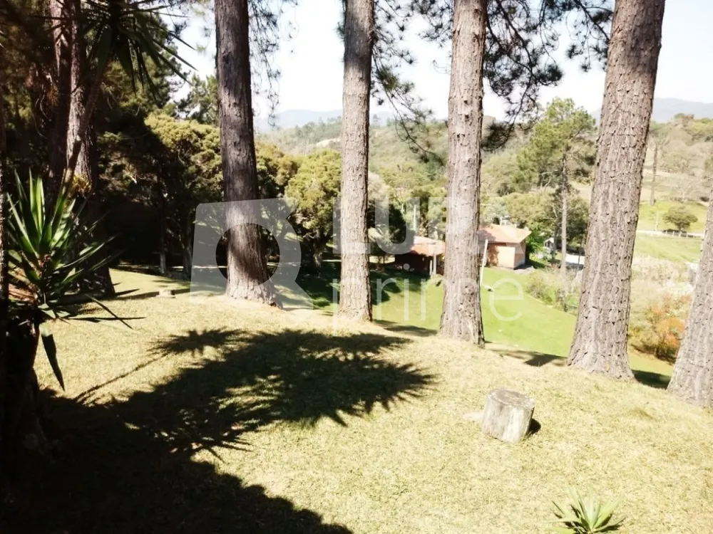 Casa, 8 quartos, 500 m² - Foto 6