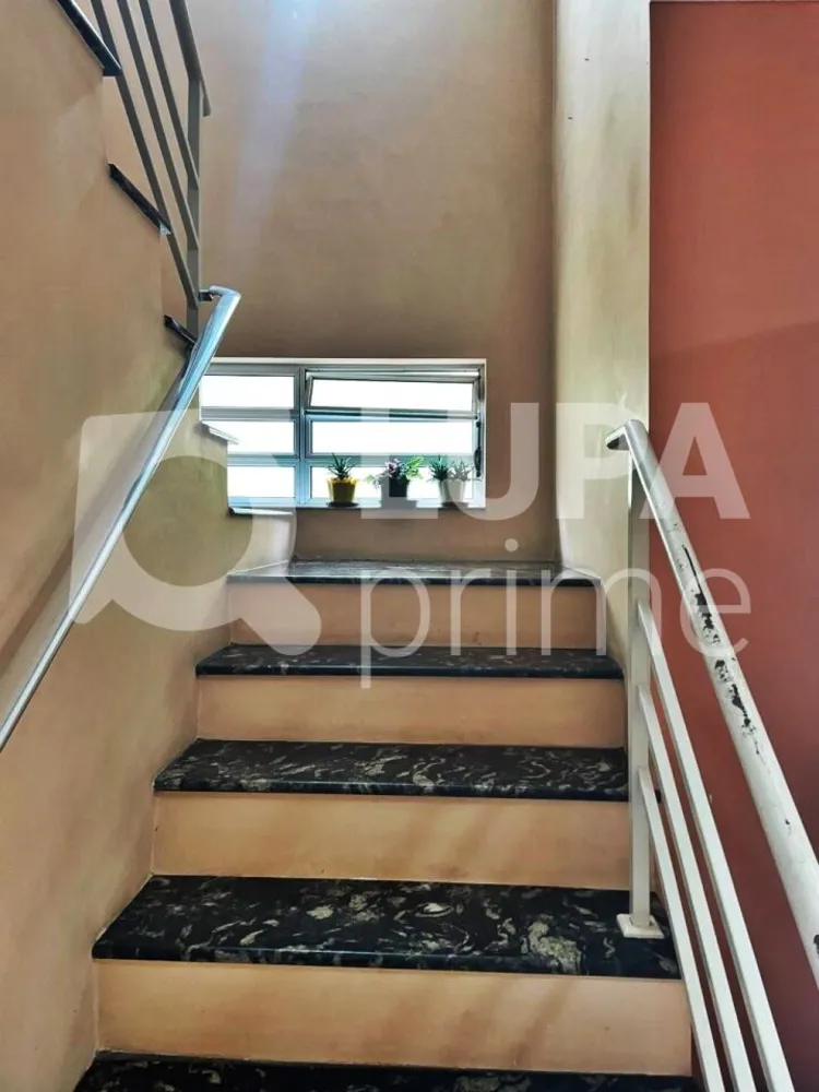 Casa, 4 quartos, 220 m² - Foto 16