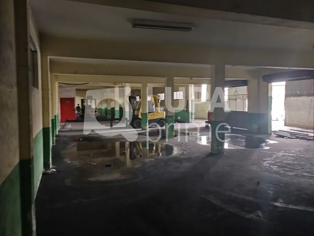 Depósito-Galpão, 4000 m² - Foto 2