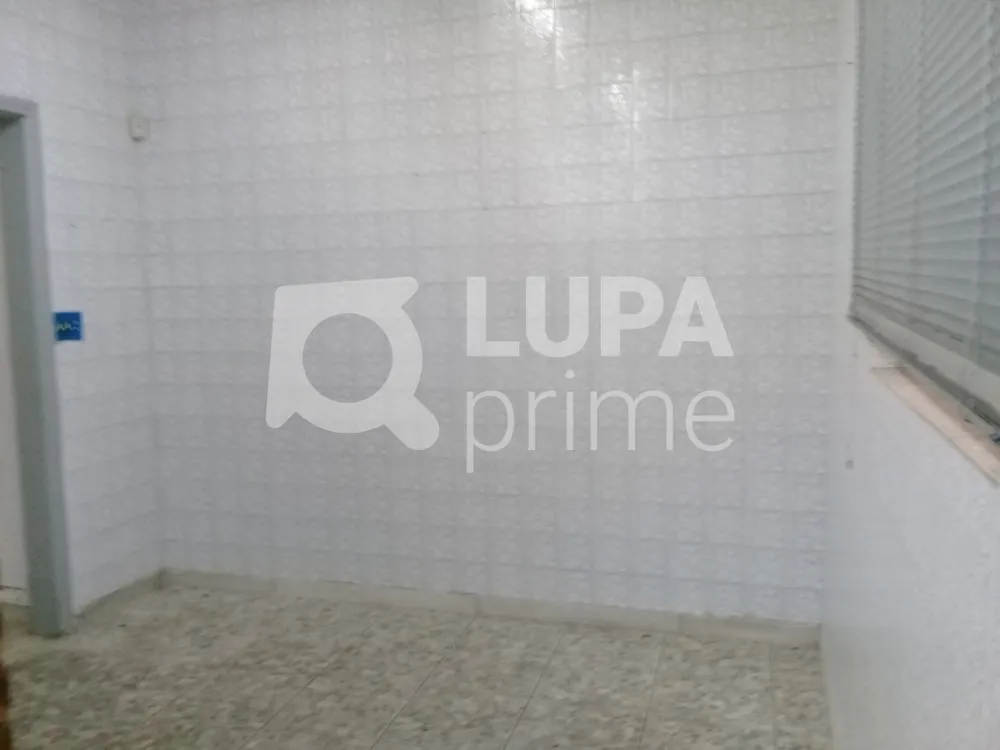 Casa, 3 quartos, 380 m² - Foto 5