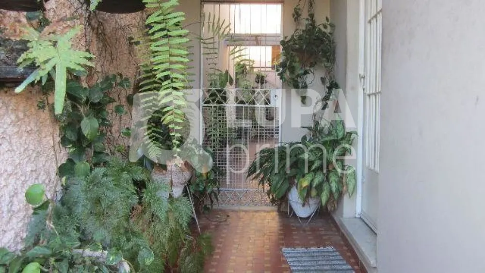 Casa, 3 quartos, 200 m² - Foto 1