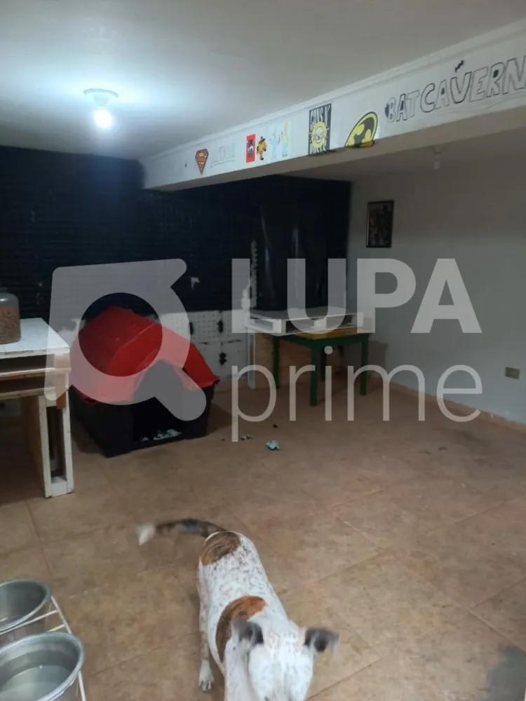Casa, 4 quartos, 310 m² - Foto 4