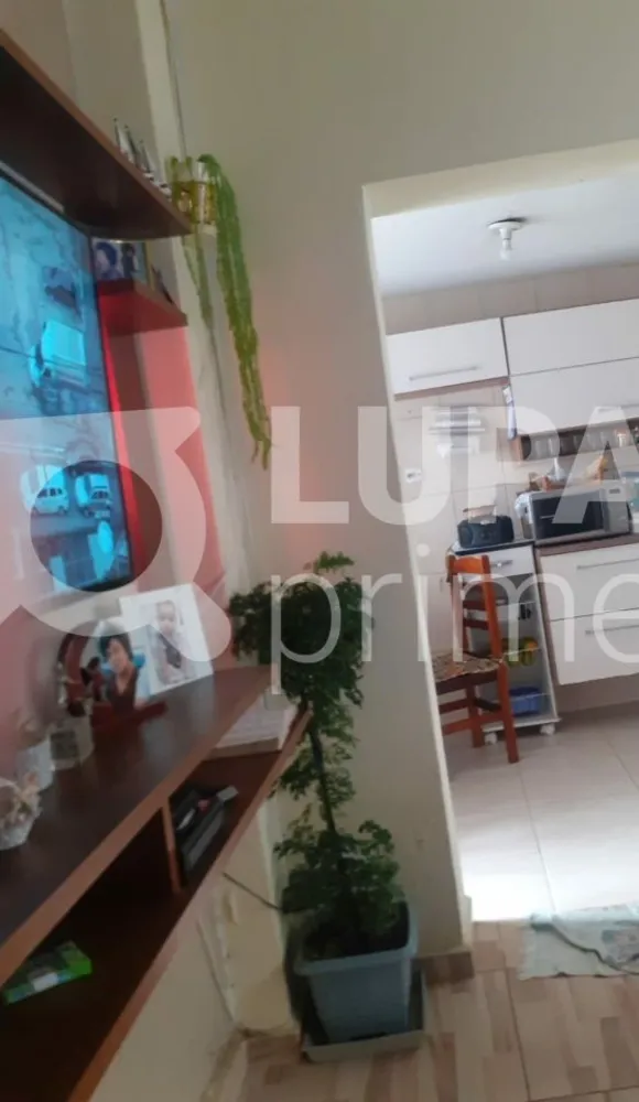 Casa, 3 quartos, 120 m² - Foto 11