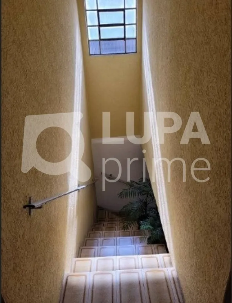 Casa, 3 quartos, 137 m² - Foto 12
