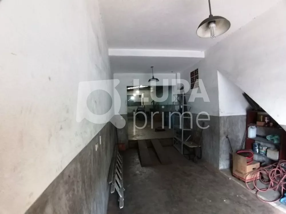 Casa, 3 quartos, 340 m² - Foto 6