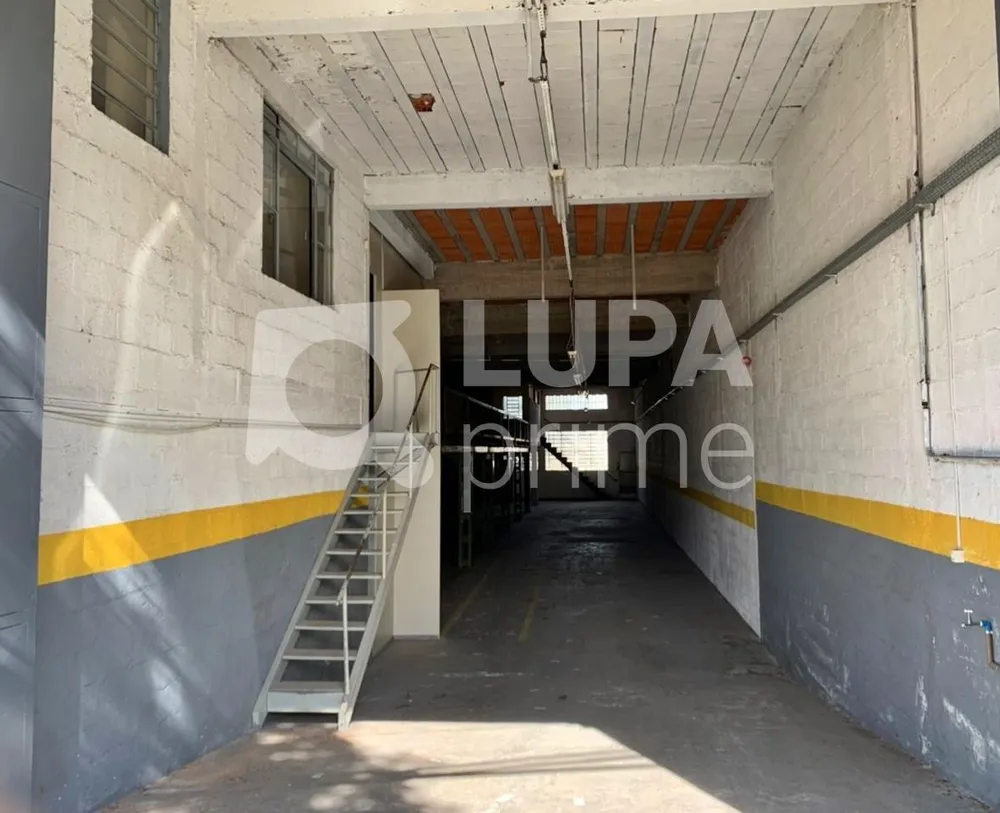 Sala-Conjunto, 800 m² - Foto 8