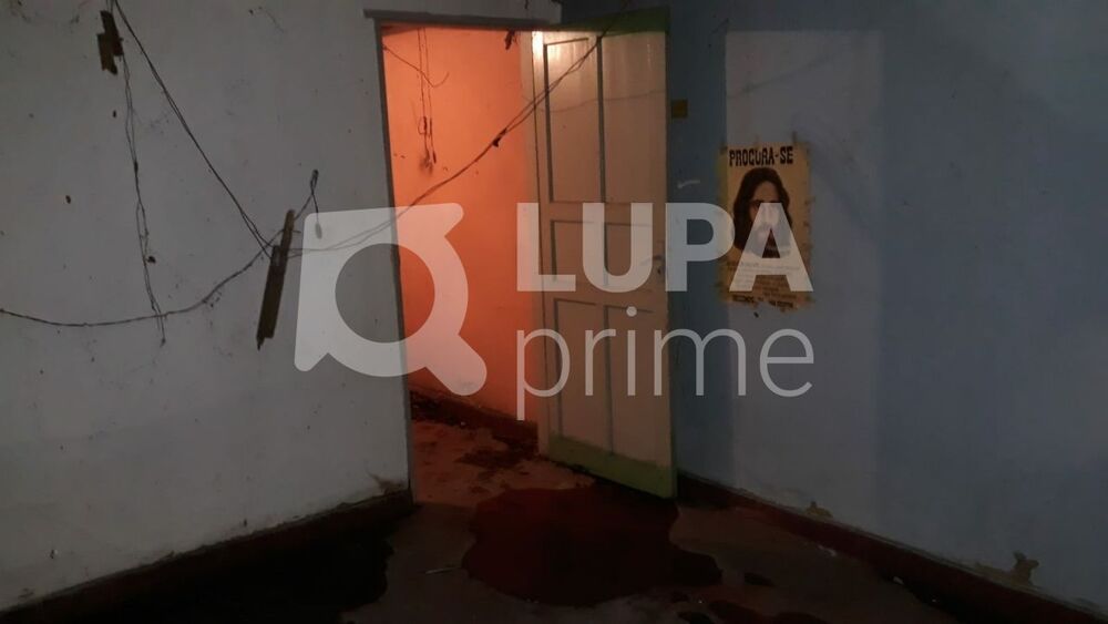 Casa, 3 quartos, 120 m² - Foto 14