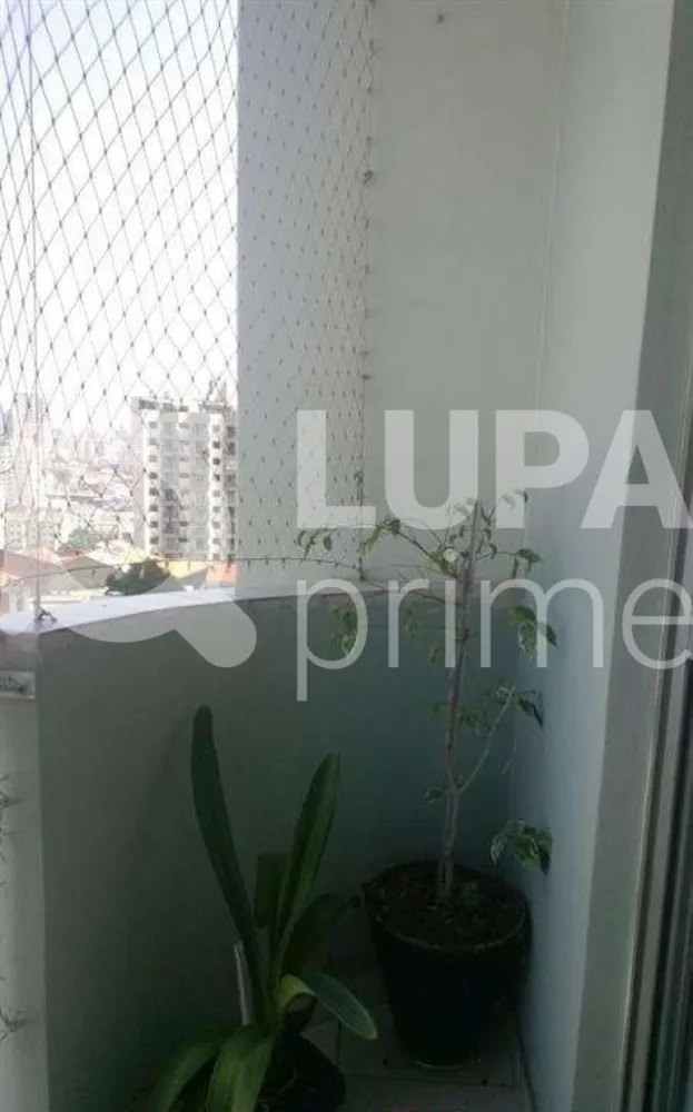 Apartamento, 3 quartos, 97 m² - Foto 6