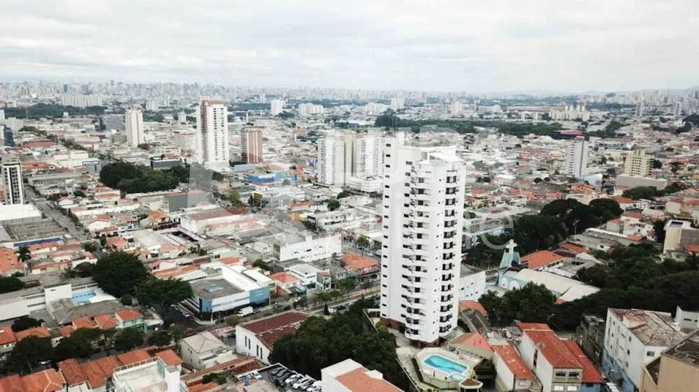 Apartamento, 4 quartos, 500 m² - Foto 2