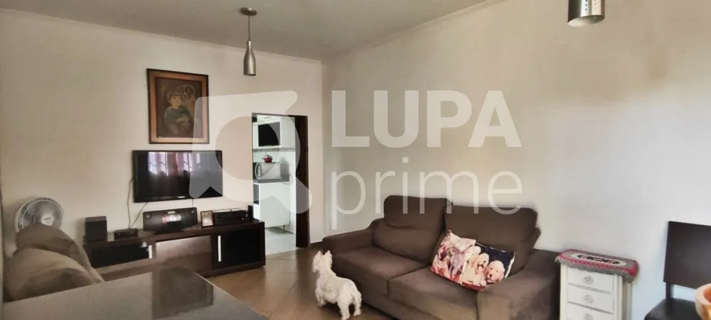 Casa, 3 quartos, 65 m² - Foto 5