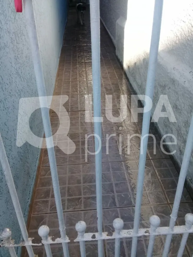 Casa, 3 quartos, 190 m² - Foto 12