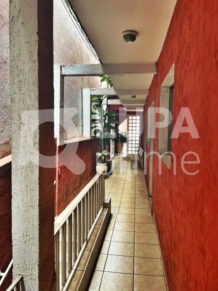 Casa, 5 quartos, 275 m² - Foto 10