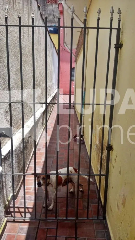 Casa, 4 quartos, 160 m² - Foto 16