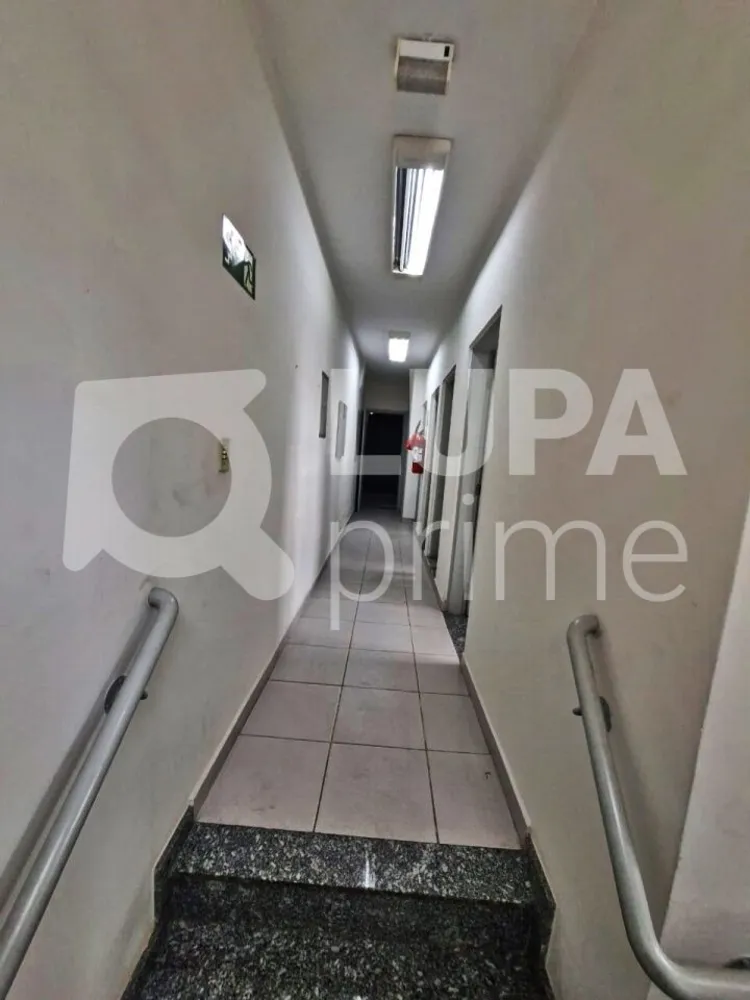 Sala-Conjunto, 347 m² - Foto 5