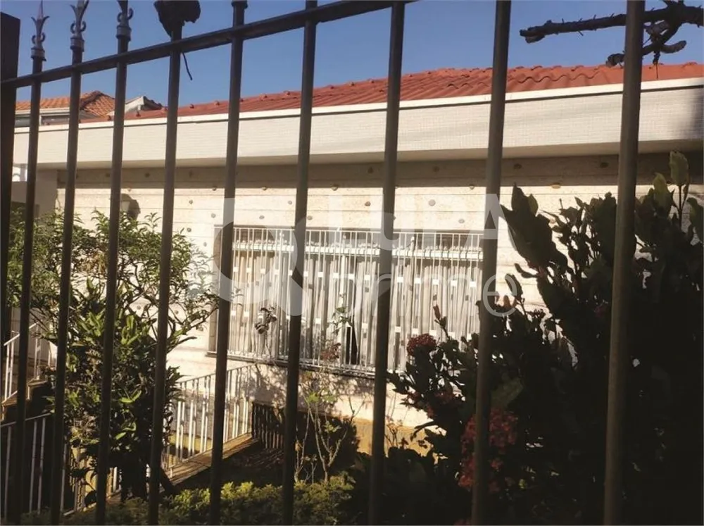 Casa, 3 quartos, 285 m² - Foto 6