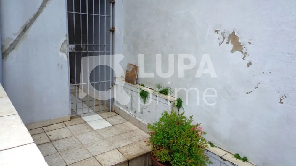 Casa, 2 quartos, 250 m² - Foto 7