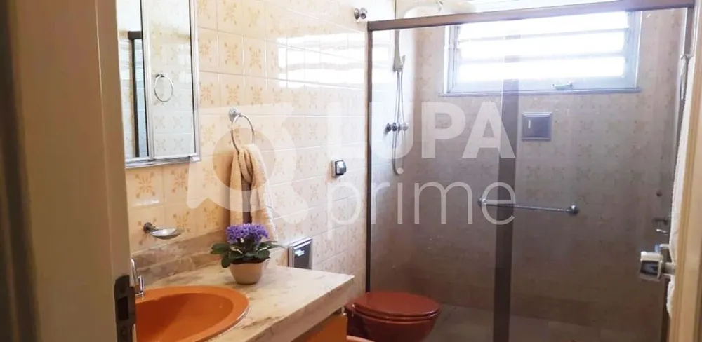 Casa, 3 quartos, 240 m² - Foto 14