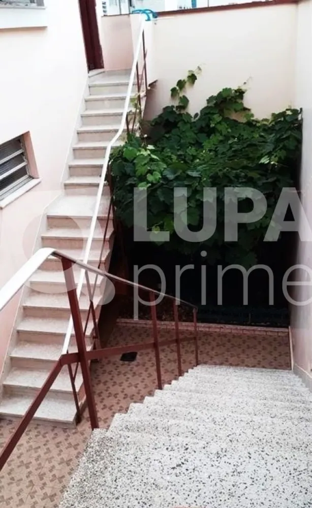 Casa, 3 quartos, 240 m² - Foto 13