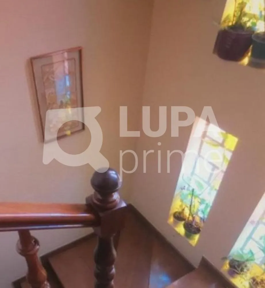 Casa, 4 quartos, 220 m² - Foto 19