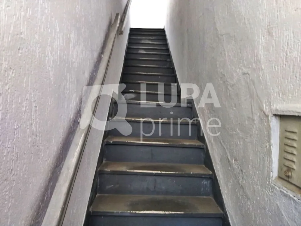 Casa, 3 quartos, 100 m² - Foto 6