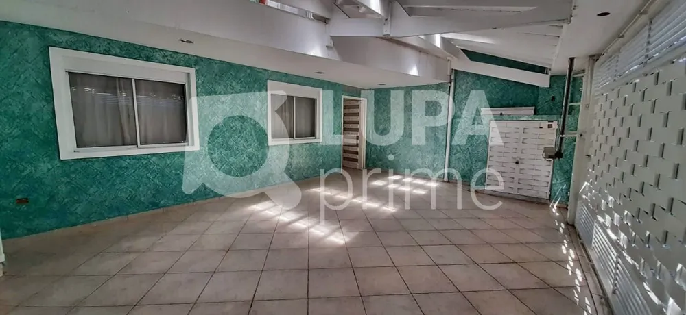Casa, 4 quartos, 260 m² - Foto 11