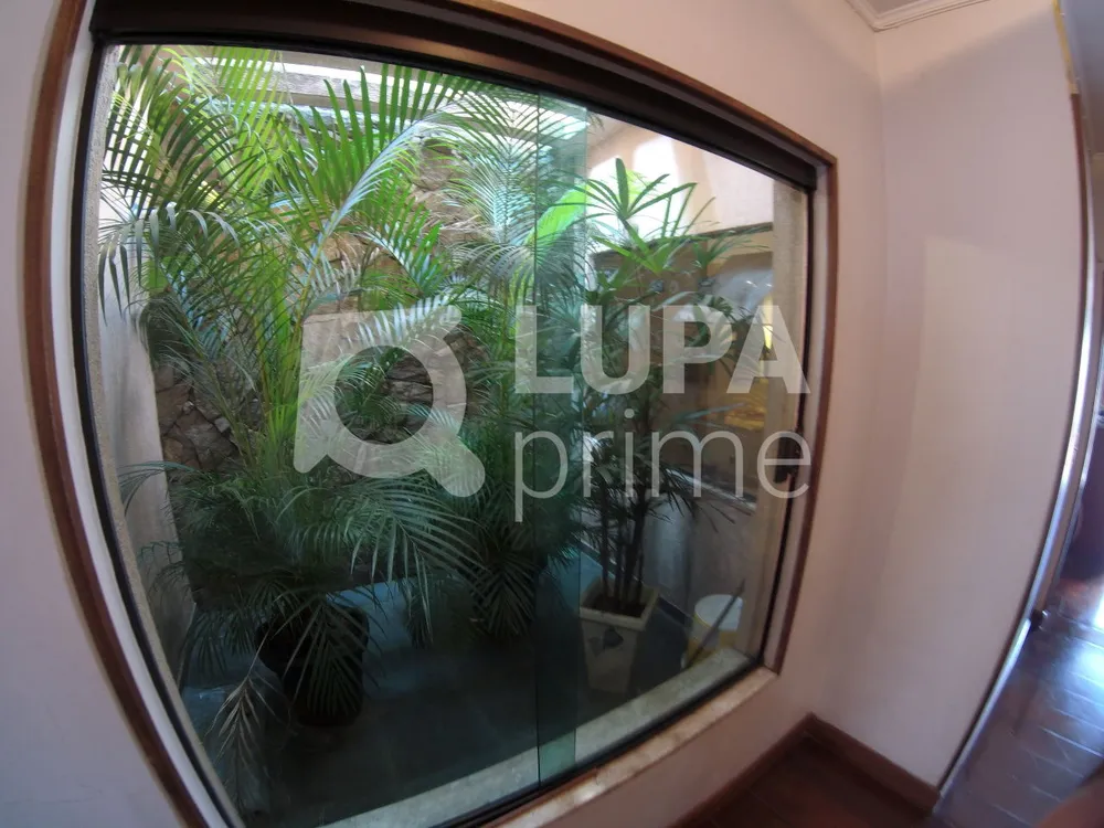 Casa, 3 quartos, 250 m² - Foto 6