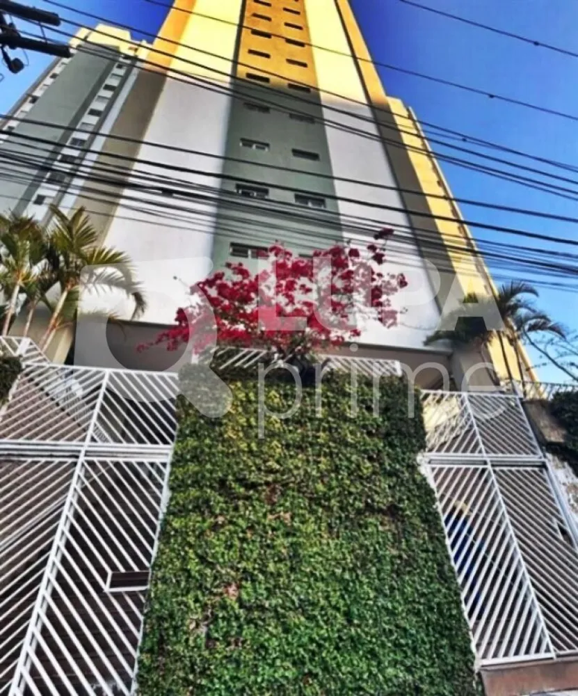 Apartamento, 3 quartos, 74 m² - Foto 12