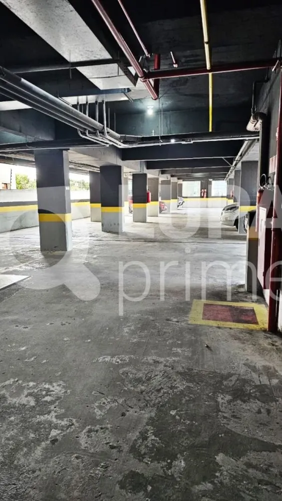 Apartamento, 4 quartos, 90 m² - Foto 9