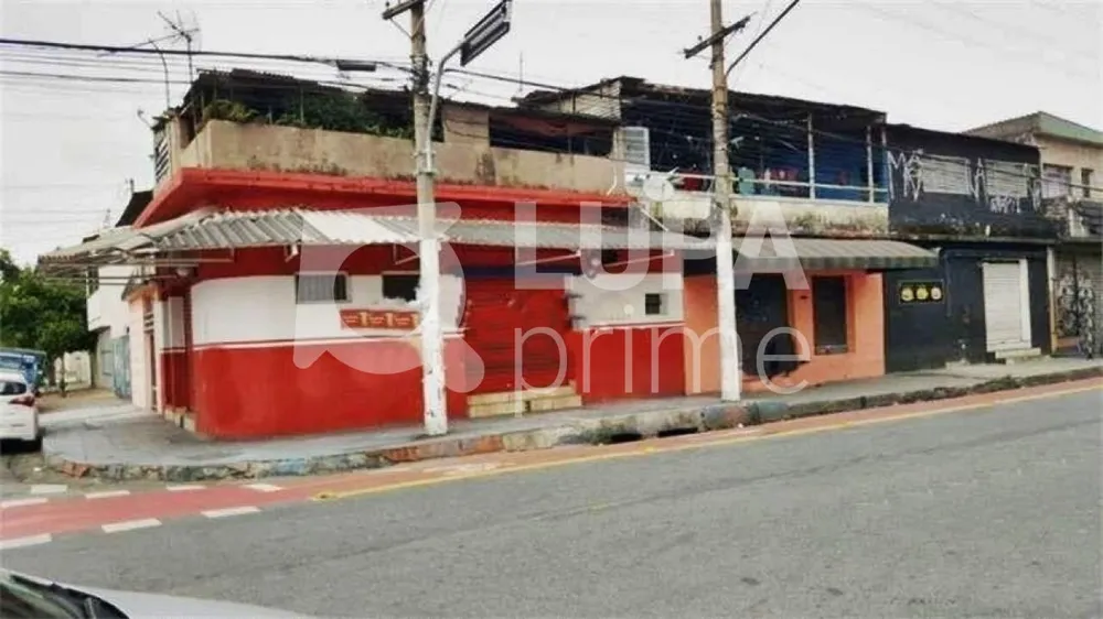 Casa, 10 quartos, 248 m² - Foto 5