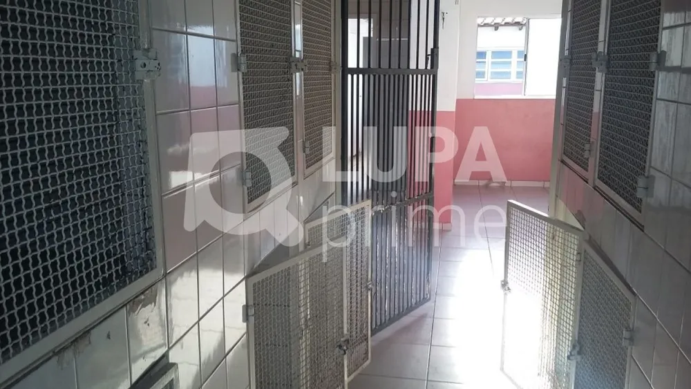 Prédio Inteiro, 300 m² - Foto 5