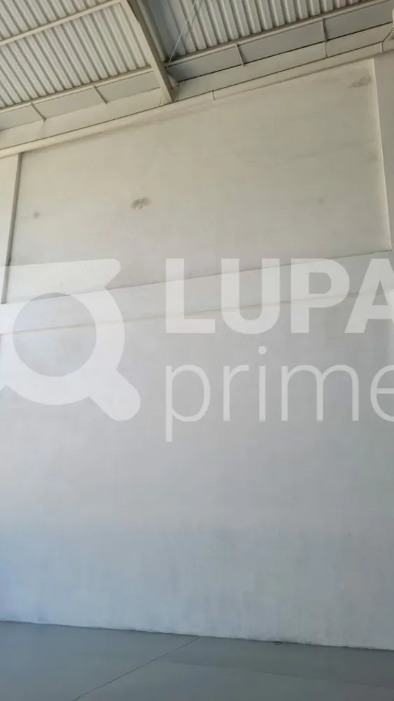 Depósito-Galpão, 450 m² - Foto 4