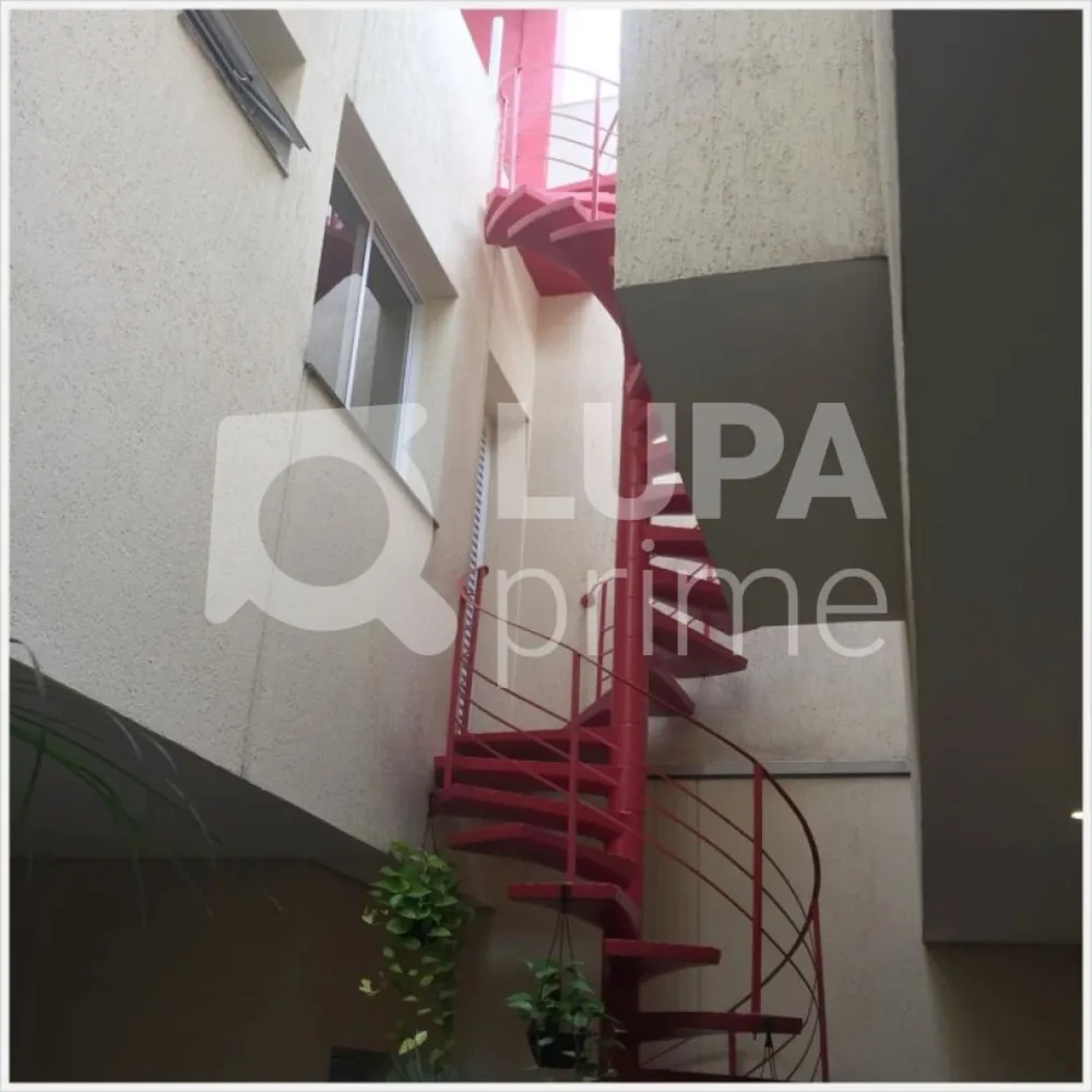 Casa, 3 quartos, 300 m² - Foto 3