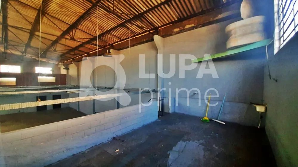 Depósito-Galpão, 515 m² - Foto 2