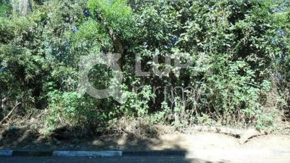 Terreno, 2920 m² - Foto 8