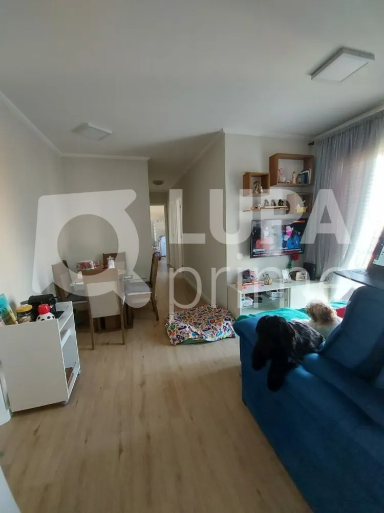 Apartamento, 2 quartos, 47 m² - Foto 1