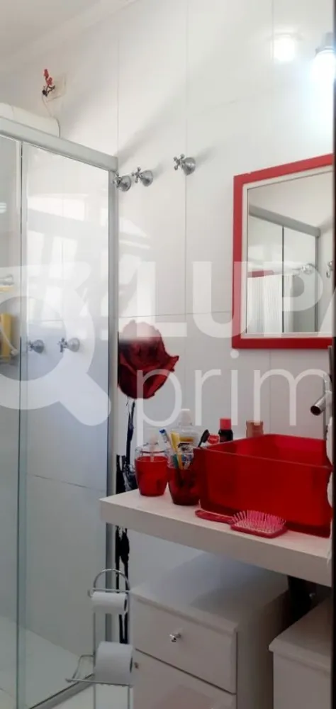 Casa, 3 quartos, 220 m² - Foto 6