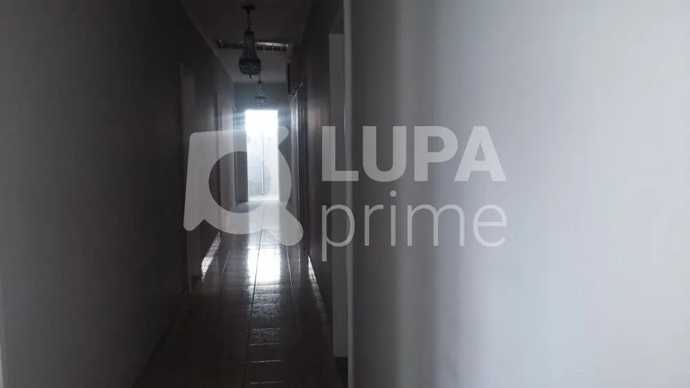 Casa, 4 quartos, 380 m² - Foto 11