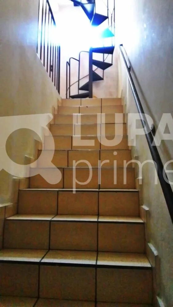 Casa, 4 quartos, 100 m² - Foto 5