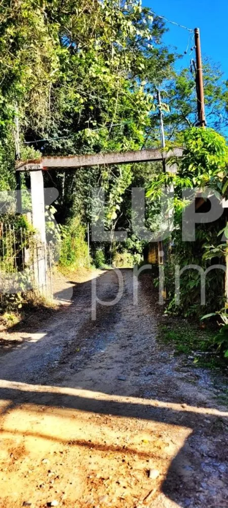 Chácara, 3 quartos, 4233 m² - Foto 6