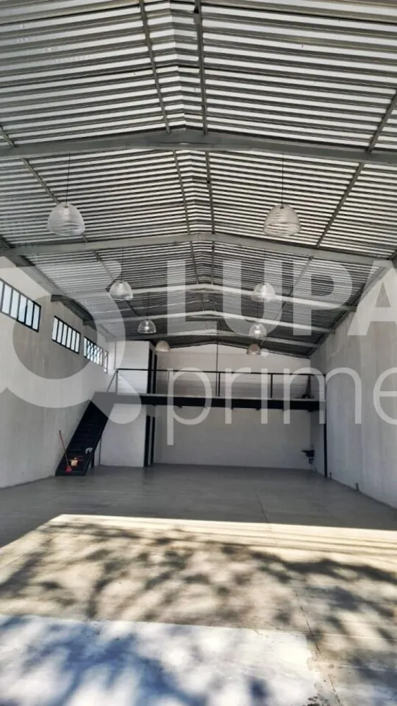 Depósito-Galpão, 243 m² - Foto 3